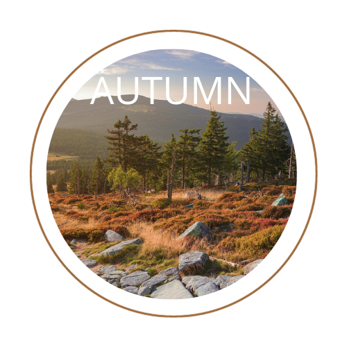 Autumn relaxation stays in Giant Mountains