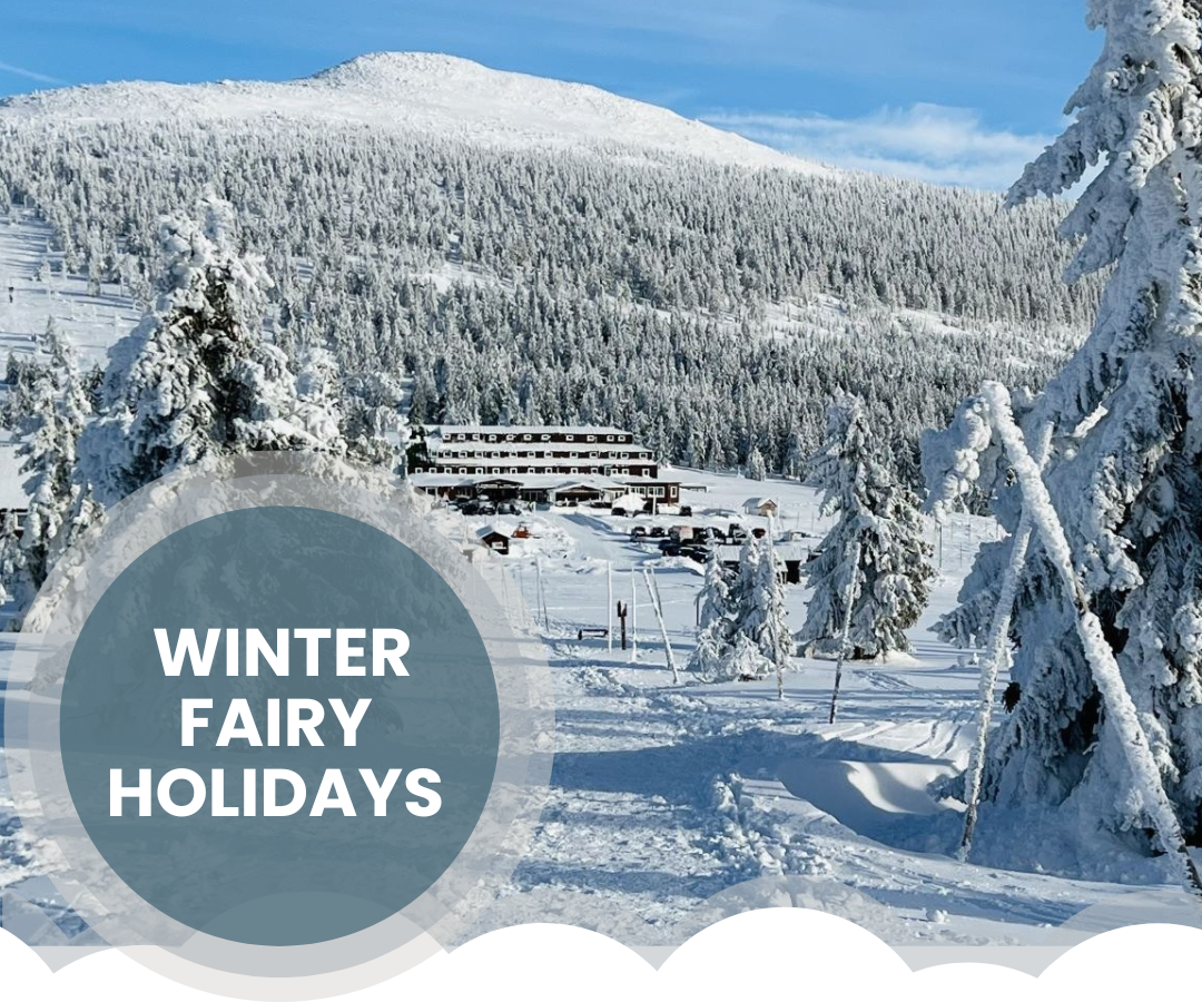 Winter ski stay in Špindlerův Mlýn