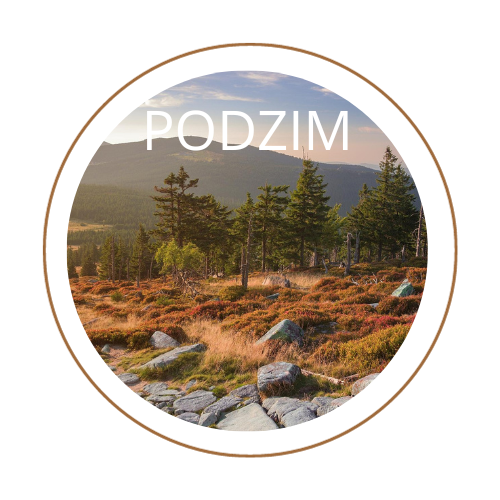 Podzimní relaxační pobyty v Krkonoších